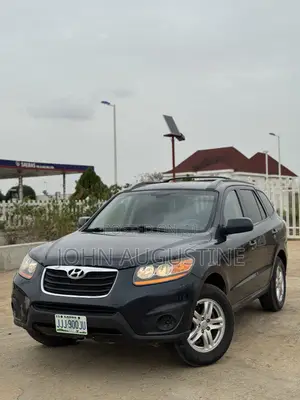 Hyundai Santa Fe 2010 Blue