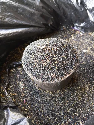 Vegetable Seeds (Shoko,Lagos Spinach) 1 Tin Cup