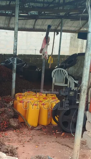 Unadulterated Red Palm Oil