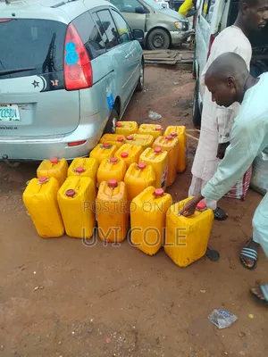 Unadulterated Red Palm Oil