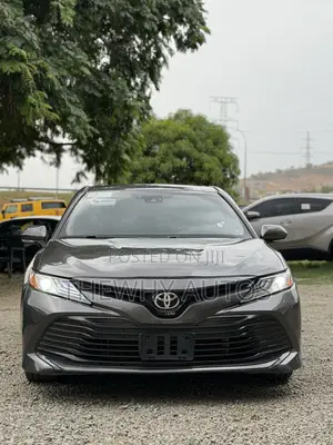 Toyota Camry XLE (2.5L 4cyl 8A) 2019 Gray