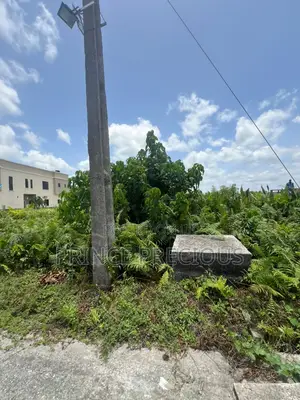 Virgin Land for Sale