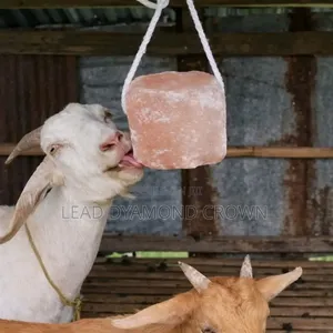 Mineral Salt Lick