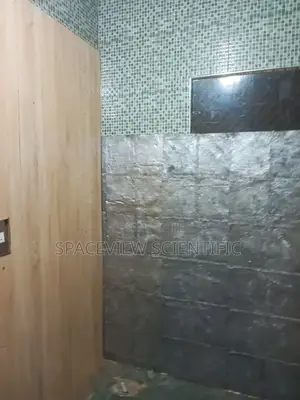 Lead Lining