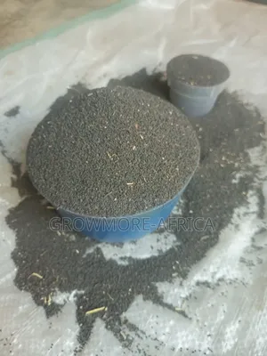 Local Jute Mallow Seeds (Ewedu Seeds)