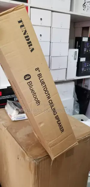 Ceiling Bluetooth Speaker