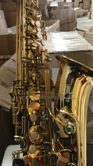 Armstrong Alto Saxophone