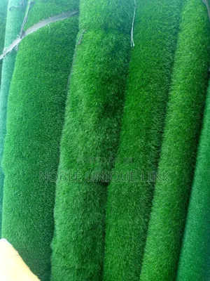 Carpet Grass
