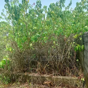 A Quarter Plot of Land in a Call to Access Estate