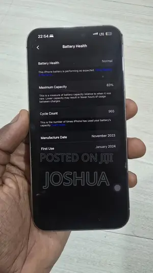 Apple iPhone 15 Pro Max 256 GB Silver