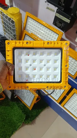 100w Thorn Flood Light Atex