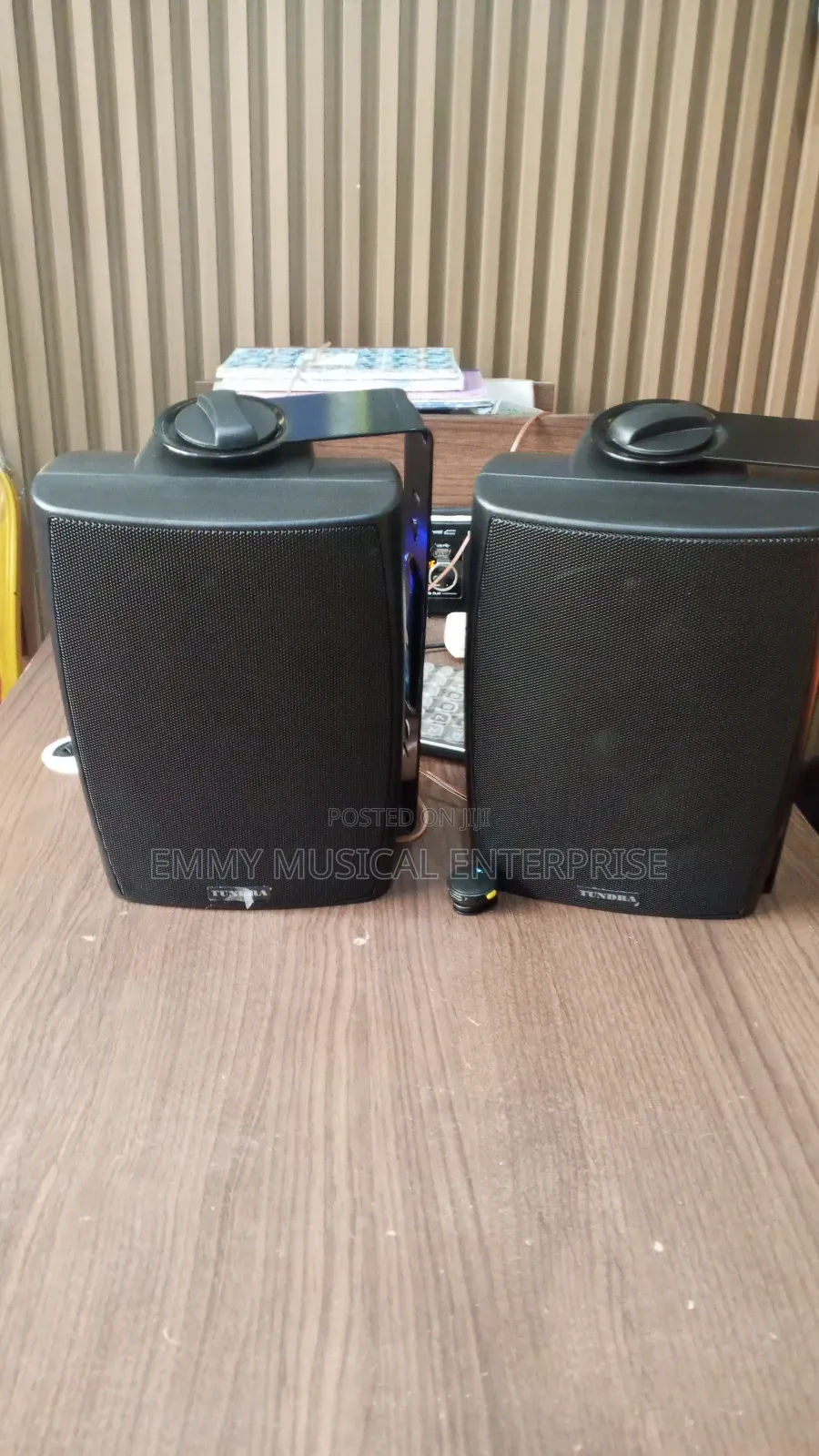 In and Outdoor Speaker