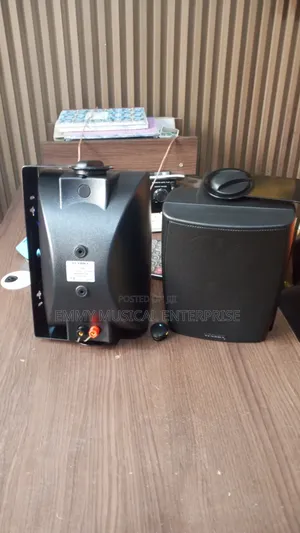 In and Outdoor Speaker