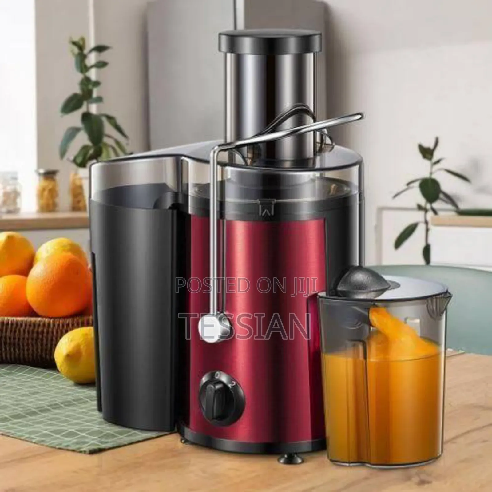 Electric Juicer