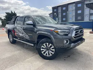 Toyota Tacoma 2023 Gray