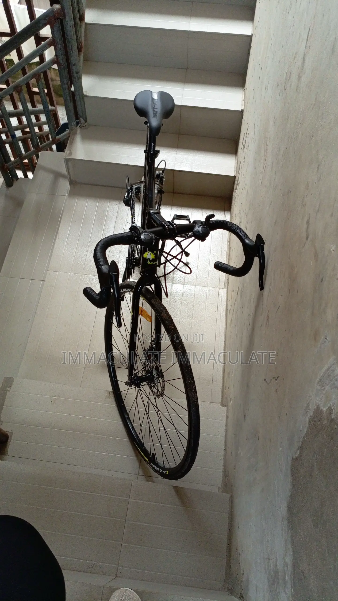 Adult Road Bike