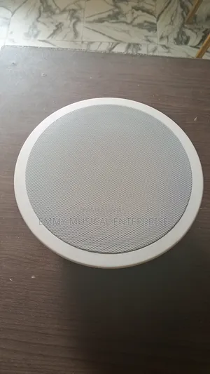 Passive Ceiling Speaker for T