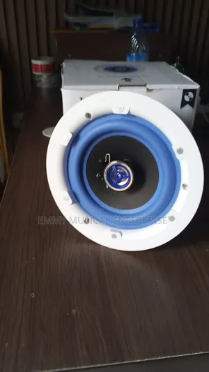 Passive Boss Speaker