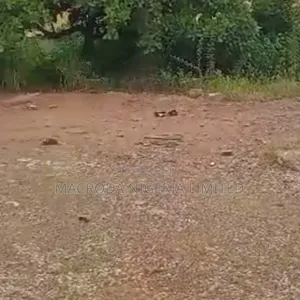 Land for Sale at Awolowo Road