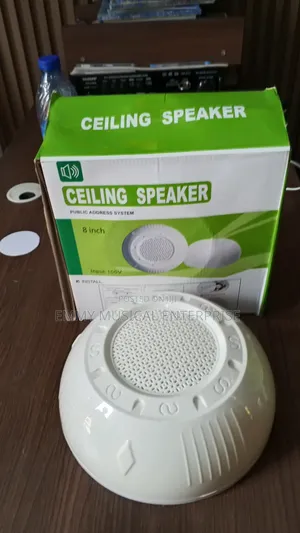Decking Speaker