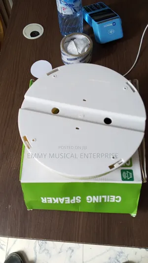 Decking Speaker