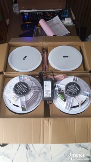 4in1 Bluetooth Ceiling Speaker for Pop