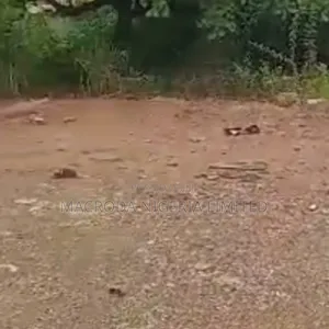 Land Available for Sale