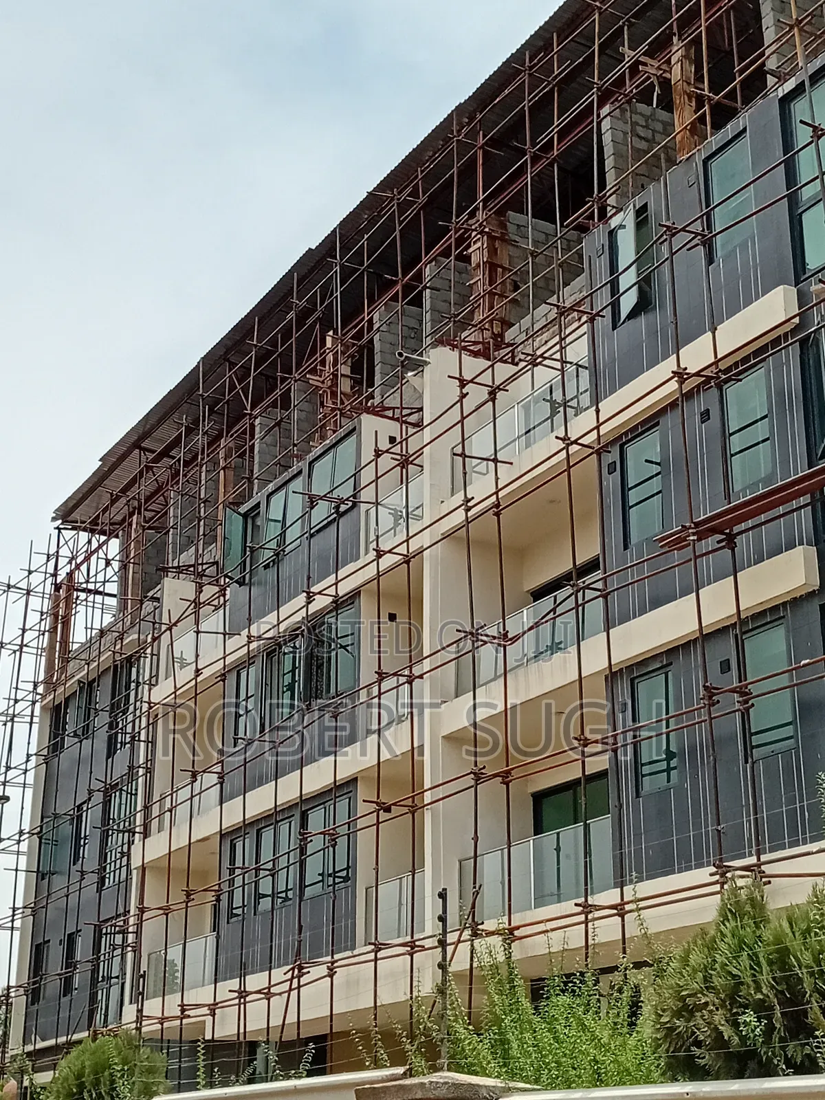 Scaffolding Services/ Rentals