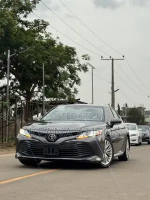 Toyota Camry XLE (2.5L 4cyl 8A) 2019