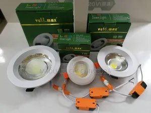 10w Cob Led Light