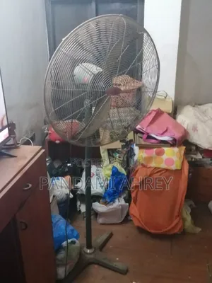 Large Ox Fan