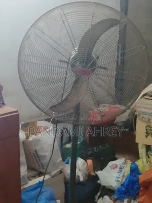Large Ox Fan
