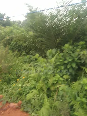 A Plot of Land for Sale