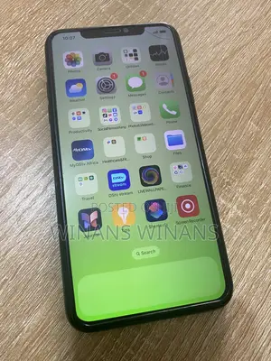 Apple iPhone 11 Pro Max 256 GB Gray