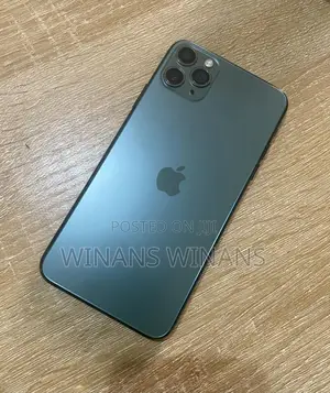 Apple iPhone 11 Pro Max 256 GB Gray