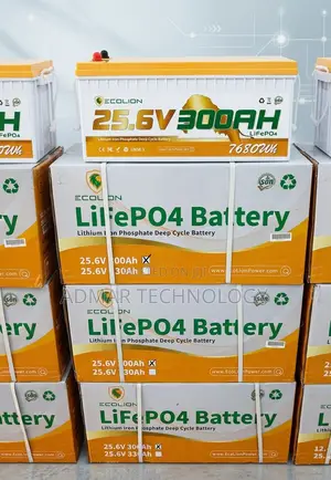 Ecolion 7.68kwh 25.6v 300ah Lithium Ion Battery