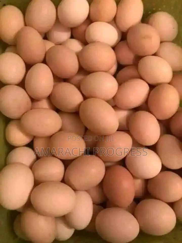 Foodstuffs