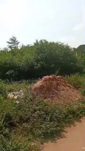 Housing And Lands