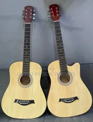 Acoustic Box Guitar