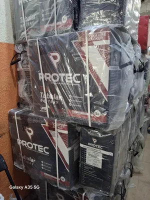 Protec Tubular Battery
