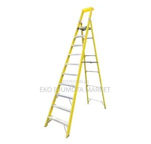 10 Steps Platform Ladder