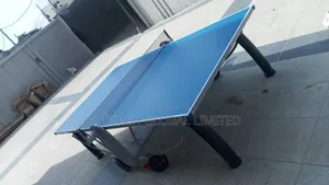 Heavy-Duty Outdoor Table Tennis Board