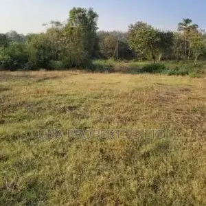 230sqm Plot of Land at Chikakore Byazhin Kubwa Layout