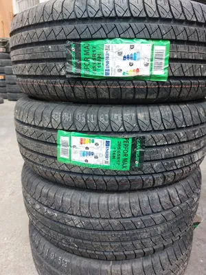 285/65r17 Lanvigator Tyre