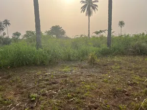 A Plot of Land for Quick Sale at Umeghe Abraka
