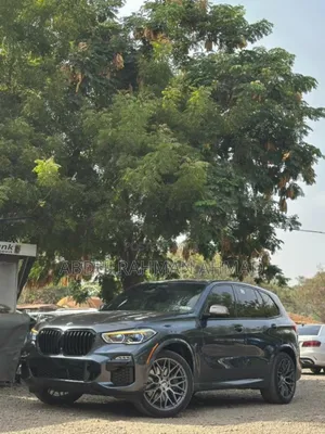 BMW X5 M50i AWD 2020 Gray