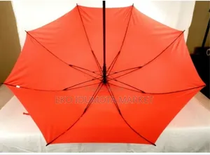 Umbrella With Case