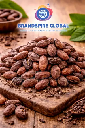 Premium Cocoa Beans