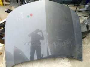 Bonnet Acura Tl 2010