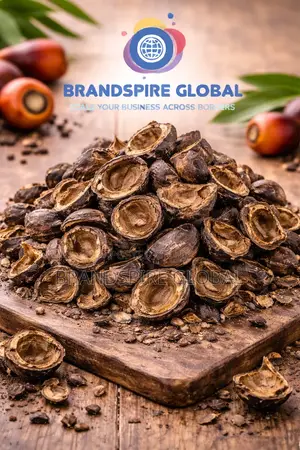 Palm Kernel Shells